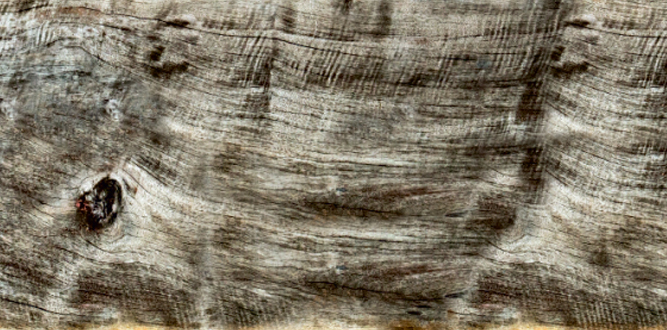 RCS 0040