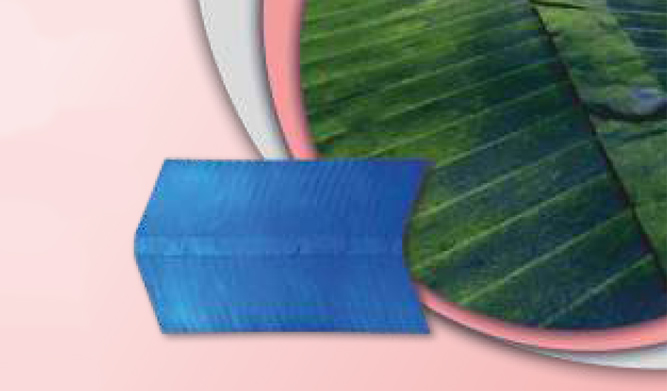 Ramp Stamp (120 cm x 70 cm) (No.ITB-045)